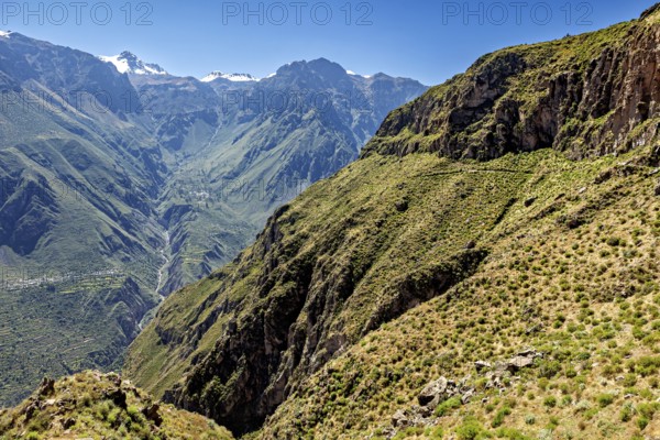 Mountainous landscape with a deep gorge and lush vegetation under clear skies, The mountains and valleys of Colca Canyon in Peru