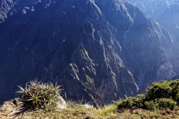 Landscape with a deep gorge and surrounding mountains illuminated by the sun, The mountains and valleys of the Colca Canyon in Peru