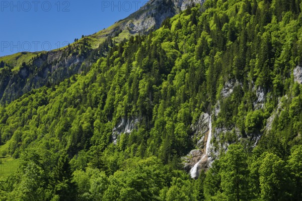 Sulzbachfall, Klöntal, Kantom Glarus, Switzerland