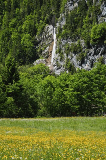 Sulzbachfall, Klöntal, Kantom Glarus, Switzerland