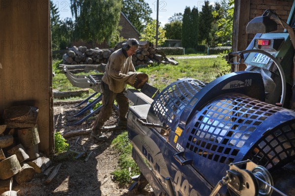 Young man sawing and splitting beech logs with his saw cutting machine, powered by a tractor in a barn, Othenstorf, Meckleburg-Vorpommern, Germany
