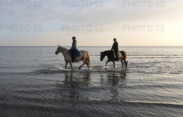 Two female riders ride their horses through the shallow water of the Baltic Sea at sunrise, Scharbeutz, 29.11.2025, Scharbeutz, Schleswig-Holstein, Germany