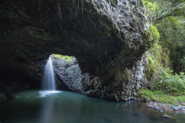 Natural Bridge Springbrook National Park Waterfall in the Basalt Cave, Queensland Gondwana Rainforest World Heritage Site, Australia