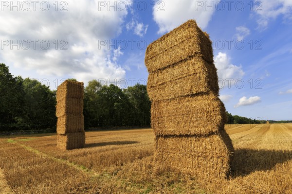 Rectangular straw bales, two stacks in a harvested field, stubble field, Cumulus, Bornholm, Denmark