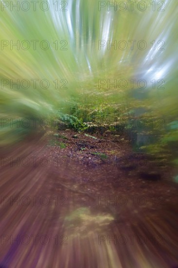 Symbolic picture for tunnel vision and depression, Germany