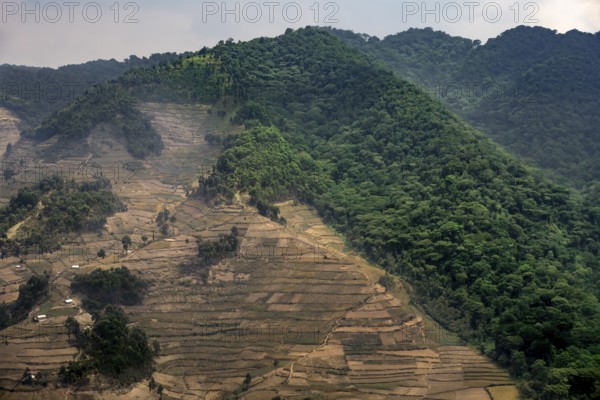 Contrast between forest and farmland, symbolic image of deforestation, loss of rainforest, jungle, Bwindi Impenetrable Forest National Park, Uganda