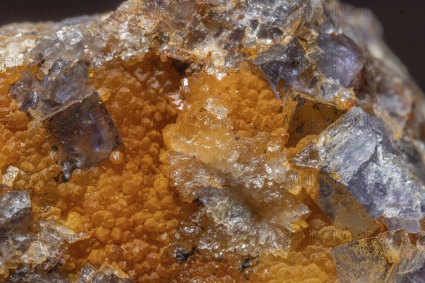 Shiny crystals of blue and orange color can be seen in this mineral formation. They are sparkling and show interesting textures in a natural setting