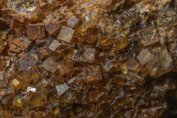 Bright, square crystals are visible on a piece of rock. The light underlines their structure and color. This mineral formation is fascinating and fascinating