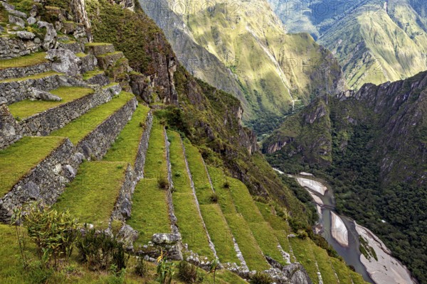 Stone terraces with deep valley, a river river and dense vegetation in the mountains of Machu Picchu, The ruins of the Inca city of Machu Picchu in Peru