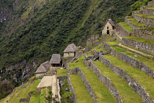 Older stone houses and terraces in the green mountain terrain of Machu Picchu, The ruins of the Inca city of Machu Picchu in Peru