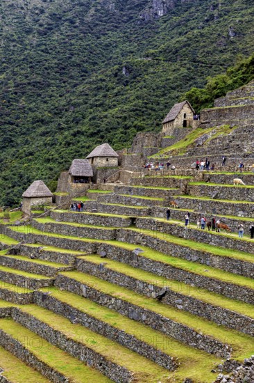 Stone terraces and houses in Machu Picchu with people and lush vegetation, The ruins of the Inca city of Machu Picchu in Peru