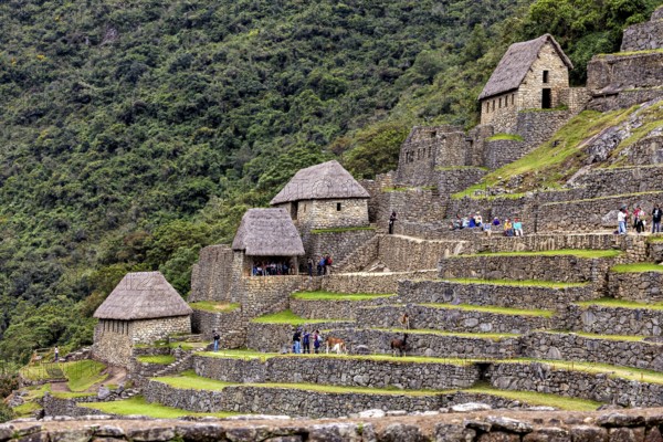 Traditional Inca huts and terraces on a green mountainside near Machu Picchu, The ruins of the Inca city of Machu Picchu in Peru