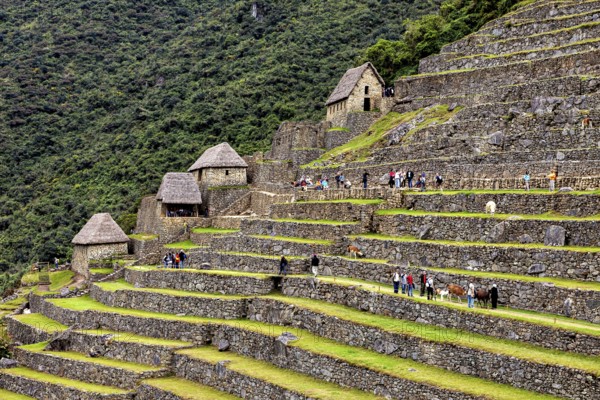 Stone houses and terraces of Machu Picchu filled with tourists and trees, The ruins of the Inca city of Machu Picchu in Peru