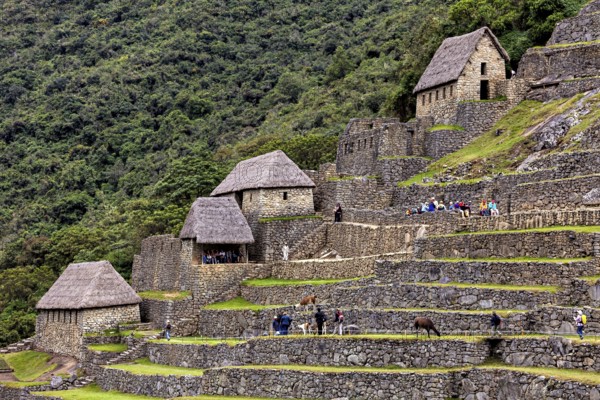 Inca huts and terraces with stone walls in lush mountain scenery near Machu Picchu, The ruins of the Inca city of Machu Picchu in Peru
