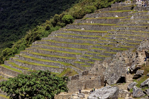 Stone terraces of Machu Picchu gently descending the slope, The ruins of the Inca city of Machu Picchu in Peru