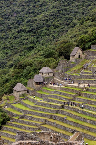 Inca stone houses and terraces surrounded by lush mountain scenery near Machu Picchu, The ruins of the Inca city of Machu Picchu in Peru