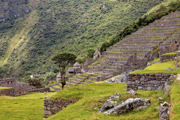 Stepped terraces with stone structures nestled in green slopes and clouds, the ruins of the Inca city of Machu Picchu in Peru