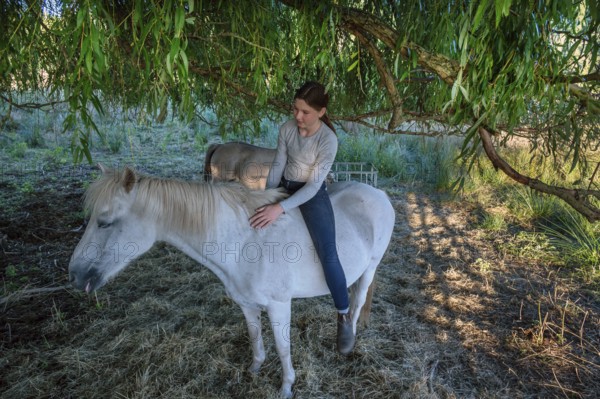 Young girl sitting on her white mare under a willow (Salix), Othenstorf, Mecklenburg-Western Pomerania, Germany