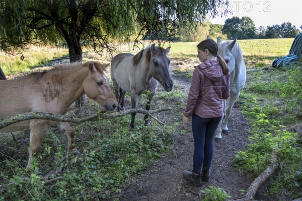 Young girl with her horses in the pasture, Othenstorf, Mecklenburg-Western Pomerania, Germany