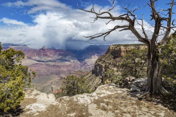 Light winter storm weather over The Grand Canyon in northern Arizona