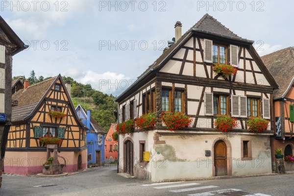 Half-timbered houses passing through Niedermorschwihr, Ellsass