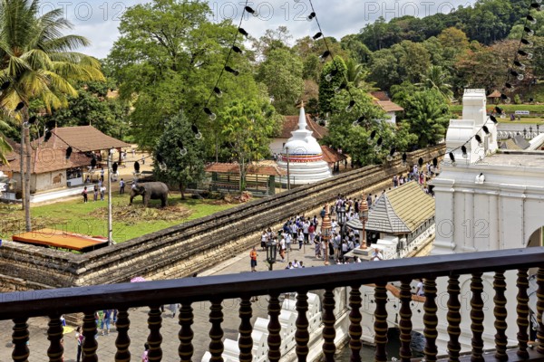 View of a temple area with people and an elephant statue surrounded by green nature, The Temple of the Tooth in Kandy Sri Lanka