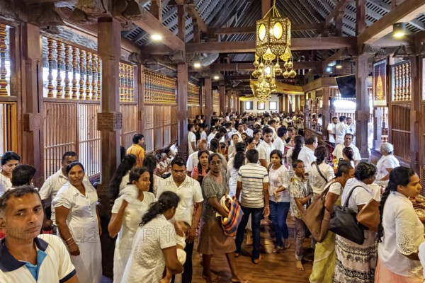 Large crowd in an interior decorated with wooden beams at a meeting, people and pilgrims in the Temple of the Tooth in Kandy Sri Lanka