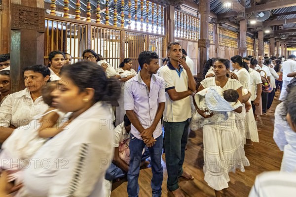 People stand in line in a traditional building, some carry babies, people and pilgrims in the Temple of the Tooth in Kandy Sri Lanka