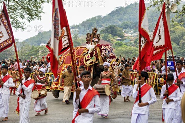 A festive parade with elephant and red flag in front of a crowd and green landscape, The Perahera Parade in Kandy Sri Lanka