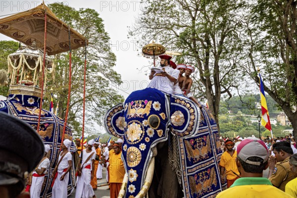 A richly decorated elephant with people in traditional clothing in a lively pageant, The Perahera Parade in Kandy Sri Lanka