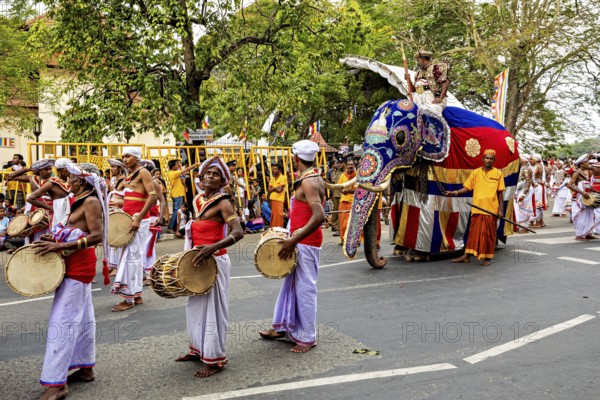 Festive parade with drummers and a magnificently decorated elephant, The Perahera Parade in Kandy Sri Lanka