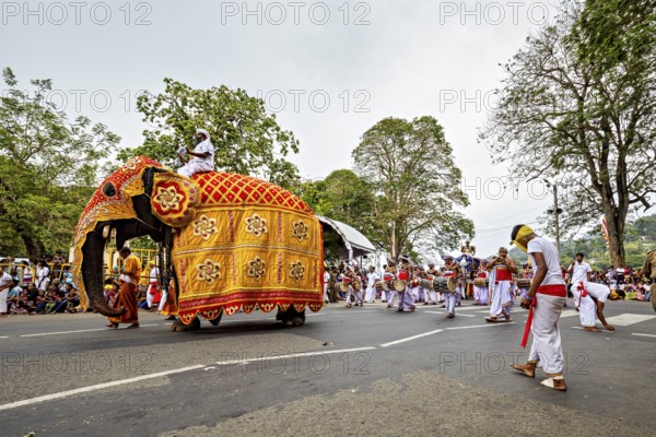 A cheerful parade with a decorated elephant and dancers on the street, The Perahera Parade in Kandy Sri Lanka