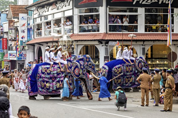 Parade with two decorated elephants and spectators in a busy street, The Perahera Parade in Kandy Sri Lanka