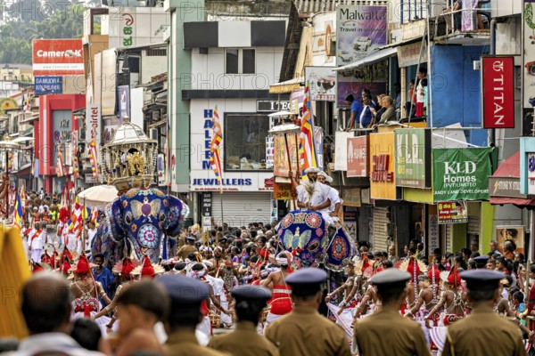 Decorated elephants at a parade with spectators and colorful buildings, The Perahera Parade in Kandy Sri Lanka