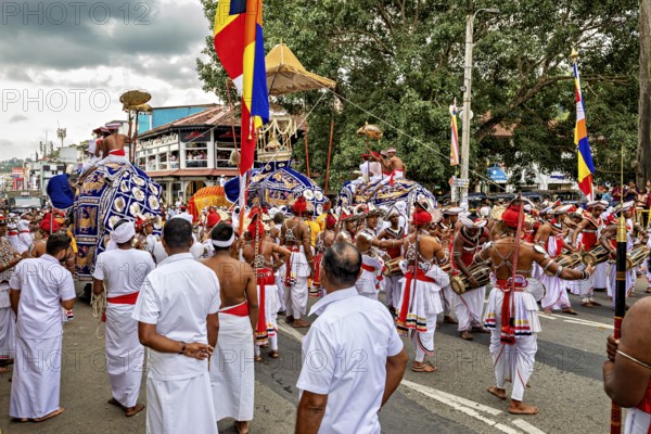 Festive procession with decorated elephants and people in traditional clothing, The Perahera Parade in Kandy Sri Lanka