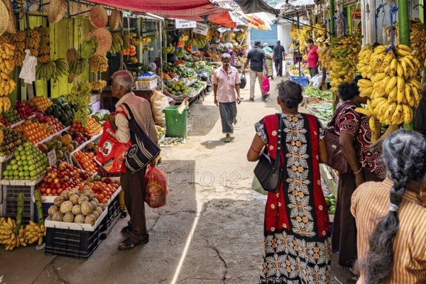 Market visitors and traders among colorful fruit and vegetables, traders in the market halls of Kandy Sri Lanka