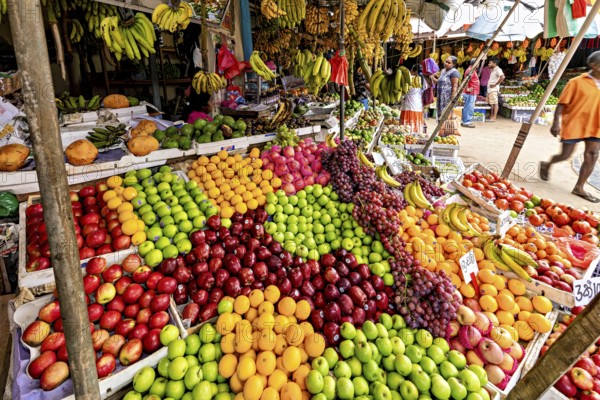 Colourful variety of tropical fruits on a lively market stand, dealers in the market halls of Kandy Sri Lanka