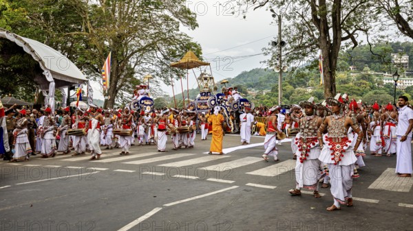 Dancers march in a colorful parade with music and decorated elephants, The Perahera Parade in Kandy Sri Lanka