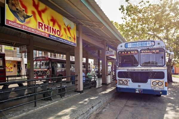 An Ashok Leyland bus at a bus stop with signs and trees in Sri Lanka, bus station in Kandy Sri Lanka