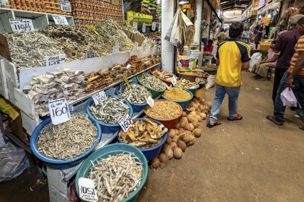 Dried fish and other foodstuffs in trays at a market stand, dealers in the market halls of Kandy Sri Lanka