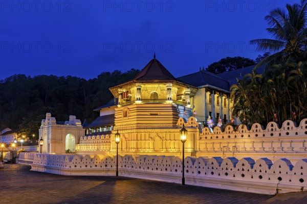 Historic building illuminated in the dark with surrounding vegetation, The Temple of the Tooth in Kandy Sri Lanka