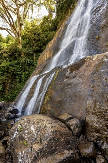 The clear water of a waterfall flows over large rocks, surrounded by green vegetation and tall trees, tea plantation in the highlands near Kandy Sri Lanka