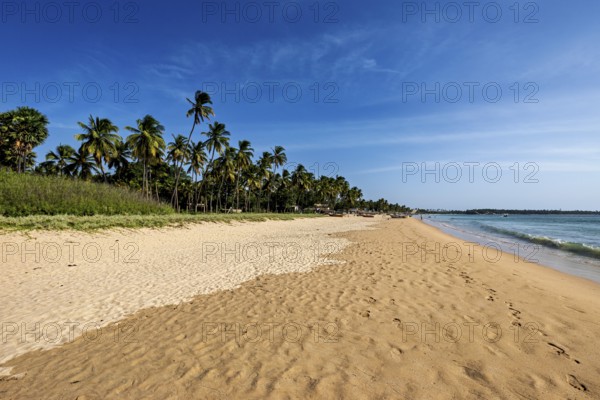 Extensive sandy beach with palm trees and peaceful sea, blue sky, quiet atmosphere, Trincomalee beach in Sri Lanka