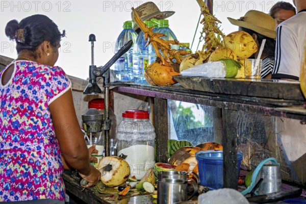 Woman at a market stall cuts coconuts surrounded by tropical fruits and everyday objects, traditional small beach bar on Trincomalee beach in Sri Lanka