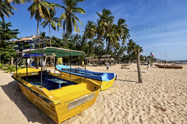 Yellow boats on sandy beach with palm trees and blue sky, holiday atmosphere, Trincomalee beach in Sri Lanka