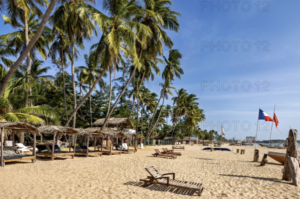Beach beds under palm trees near huts on a sunny sandy beach, relaxed atmosphere, Trincomalee beach in Sri Lanka