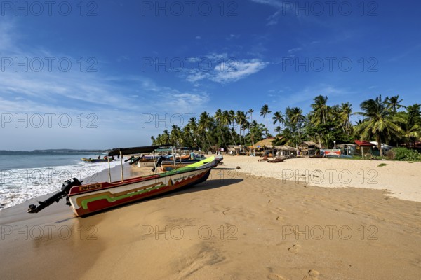 A colorful boat on the beach in front of palm trees and calm sea, clear sky, peaceful, Trincomalee beach in Sri Lanka