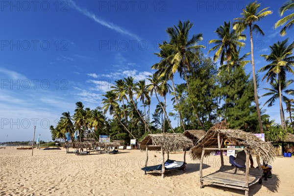 Palm trees and beach huts under a blue sky, relaxed atmosphere on the beach, Trincomalee beach in Sri Lanka