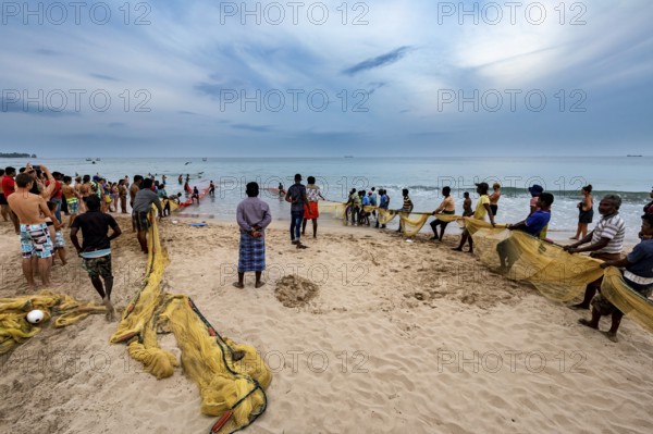 Many people on the beach fishing together with long nets, traditional fishermen on Trincomalee beach in Sri Lanka