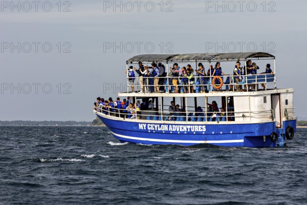 A tour boat full of people on a body of water under a clear sky, whale watching tour boat with tourists on the ocean near Trincomalee in Sri Lanka